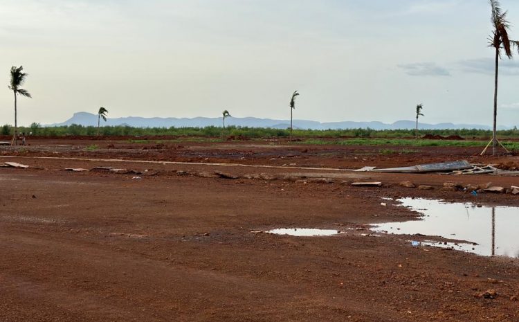L’immobilier en Guinée se transforme : des cocotiers ajoutent une touche exotique à Ansoumanya