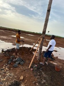 B2D immobilier guinee plantation de cocotiers